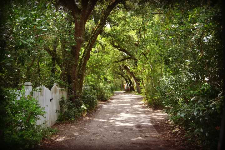 Things To Do Ocracoke Ghost and History Tours